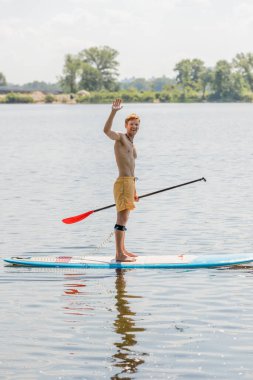 full length of active and carefree redhead man in yellow swim shorts waving hand at camera while sailing on sup board on river  with picturesque riverside on background clipart