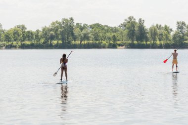 back view of sportive man and african american woman in colorful swimwear sailing on sup boards with paddles on lake with green picturesque shore, outdoor activity, summer vibes clipart