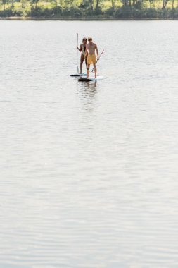 active multiethnic couple in colorful swimwear sailing on sup boards with paddles on calm river water near green bank during water recreation in summer clipart