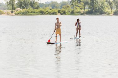 full length of young sportive man and african american woman in striped swimsuit spending time on lake by sailing on sup boards with paddles on summer weekend clipart
