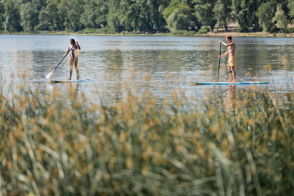active multiethnic couple in swimwear spending weekend on water by sailing on sup boards along riverside with green plants on blurred foreground on summer day