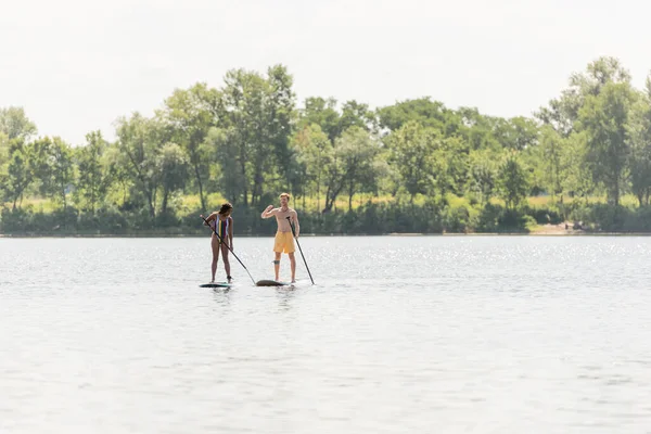 stock image full length of sportive and active interracial couple spending time on lake while sailing on sup boards with paddles along shore with green summer trees