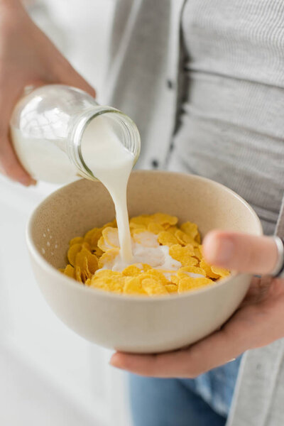 close up view of young woman holding bottle while pouring fresh milk into bowl with cornflakes and making breakfast while standing in casual clothes in modern kitchen  