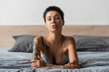 Sütyenli, kısa esmer saçlı, seksi dövmeli, kameraya bakan, yatak odasındaki bulanık arka planda gri yastıklara uzanan, yatak odası fotoğrafçılığı yapan genç, baştan çıkarıcı bir kadın.