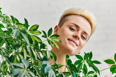 plant lover, portrait of happy young woman with radiant smile and trendy hairstyle looking at camera near green plant in living room, sustainable home decor and green living concept clipart