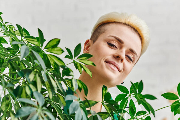 plant lover, portrait of happy young woman with radiant smile and trendy hairstyle looking at camera near green plant in living room, sustainable home decor and green living concept