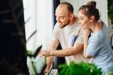 Smiling couple in homewear looking at terrarium while spending time near window at home clipart
