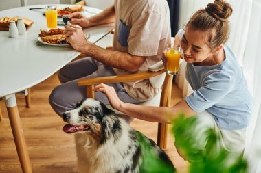 Erkek arkadaşı evde kahvaltı ederken gülümseyen portakal suyu içen ve köpekleri okşayan bir kadın.