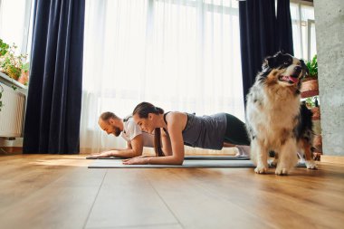 Spor kıyafetli gülümseyen çift evdeki Colie sınırının yanındaki spor şiltelerinin üzerinde duruyor.