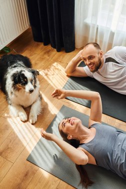 Sınır çoban köpeğinin yanındaki spor minderlerinde uzanan gülen çiftin yüksek açılı görüntüsü ve evdeki güneş ışığı.