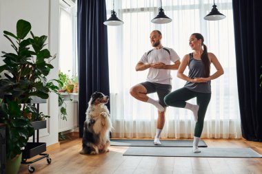 Neşeli çift yoga pozisyonunda fitness minderleri üzerinde duruyor ve evdeki Bline Collie 'ye bakıyor.