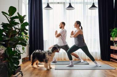 Yoga yapan gülümseyen çiftin yan görüntüsü. Evde, Colie sınırının yakınındaki spor minderlerinde poz veriyorlar.