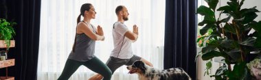 Evde çoban köpeği egzersizi sırasında yoga pozu veren çiftin yan görüntüsü, afiş.