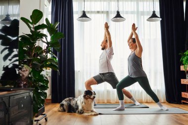 Gülümseyen bir çift yoga pozisyonunda spor yaparken evde çoban köpeği egzersizi yapıyor.