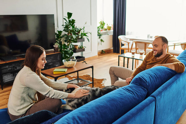 Smiling woman in casual clothes petting border collie dog near boyfriend on couch in living room