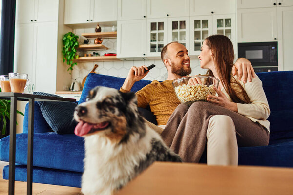 Positive couple with popcorn spending time on couch near border collie and coffee at home