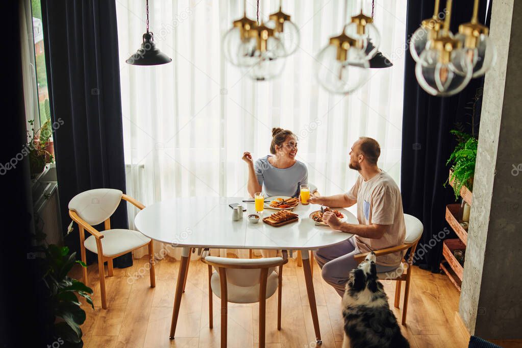 Smiling couple talking while having breakfast with orange juice near border collie dog at home
