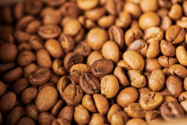 Ahşap kutuda aromatik kahve çekirdekleri, hafif rosto, kafein ve enerji, kahve arkaplanı, Arabika 