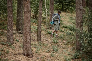 young curly indian hiker with backpack walking between trees in forest clipart