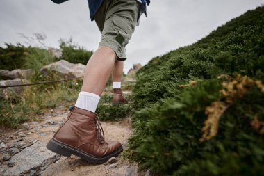 wild nature, cropped view of hiker walking in brown boots with white socks, adventure, traveler clipart