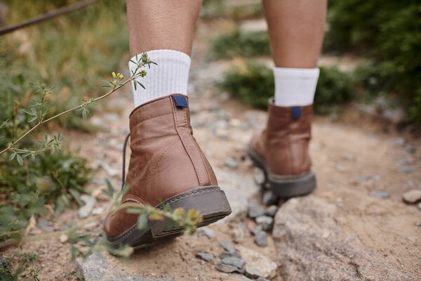 wild nature, cropped view of hiker walking in brown boots with white socks, adventure seeker