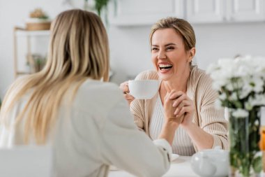 Şık hırkalarla gezen son moda neşeli kızlar gülüyor ve mutfak zemininde el ele tutuşuyor, kaynaşıyorlar.