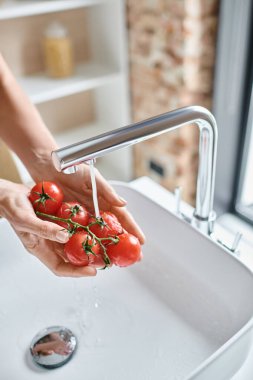 cropped view of woman washing fresh red cherry tomatoes in kitchen, female hands and home cooking clipart