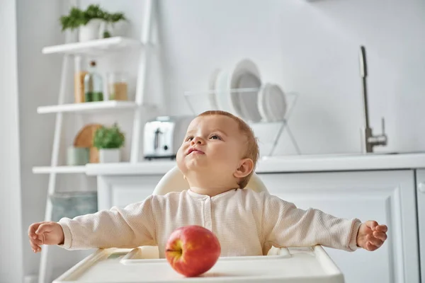 Stock image toddler girl sitting in baby chair near ripe apple and looking away in kitchen, happy childhood