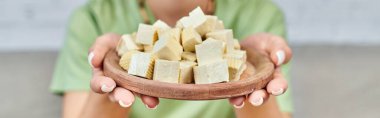 Lezzetli tofu peyniriyle kısmi kadın manzarası, yatay vejetaryen diyet tercihleri pankartı