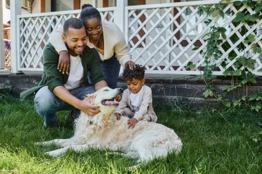 Pozitif Afro-Amerikan ebeveynler ve oğulları evlerinin arka bahçesinde köpekle oynuyorlar.