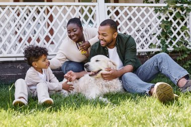 Kaliteli zaman, neşeli Afro-Amerikan ailesi ve evin arka bahçesinde köpekle oynayan kıvırcık oğlu.