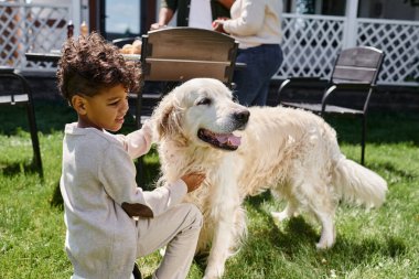 Kıvırcık Afrikalı Amerikalı çocuk bahçedeki yeşil çimlerde köpekle, banliyödeki arka bahçede çocukla oynuyor.
