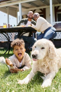 Heyecanlı Afrikalı Amerikalı çocuk yeşil çimlerde oturuyor köpek ve ailesinin bahçesinde öğle yemeği yiyor.