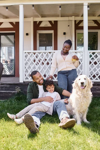 質の高い時間 陽気なアフリカ系アメリカ人の父親と息子は裏庭で女性や犬の近くで遊んでいます — ストック写真