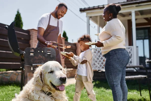 アフリカ系アメリカ人の家族の近くでかわいい犬が郊外の自宅の裏庭で家族Bbcパーティーを開催 — ストック写真