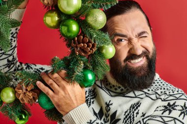 happy bearded man in Christmas sweater holding decorated wreath with baubles on red backdrop clipart