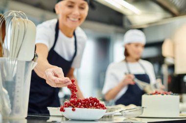 focus on red currant on plate with blurred jolly mature chef and her young colleague on backdrop clipart