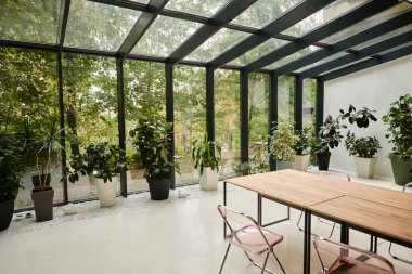 Çağdaş minimalist toplantı odasının içinde masalar ve saksılarda yeşil bitkiler.