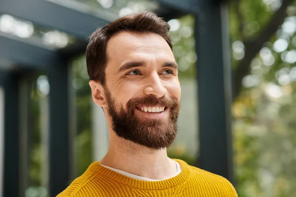 good looking cheerful architect in comfy yellow turtleneck with beard posing and looking away