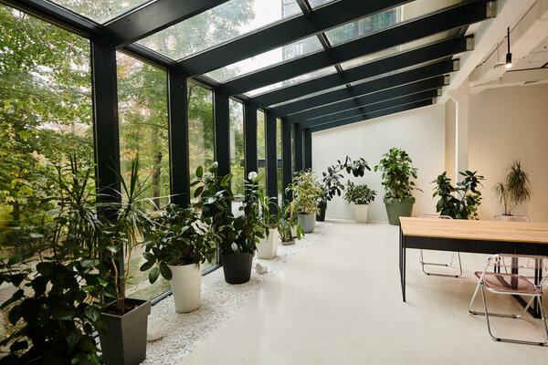 interior photo of contemporary empty conference room with office table and green plants in pots