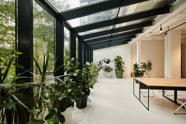 interior photo of modern minimalistic conference room with office table and green plants in pots