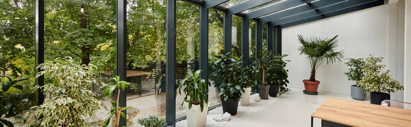 interior photo of modern empty conference room with office table and green plants in pots, banner