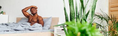 charismatic shirtless african american man looking away in bedroom with green potted plants, banner clipart