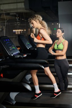 good looking sporty female coach and her blonde client in sportwear exercising on treadmill in gym clipart