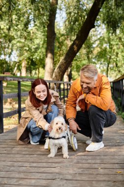 Yetişkin bir çift parkta sakin bir yürüyüş sırasında şefkatle küçük bir köpeği okşuyor..
