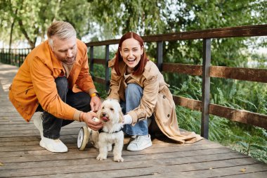 Bir adam ve bir kadın, parkta bir köprüde dururken günlük kıyafetleriyle bir köpeği okşuyor..