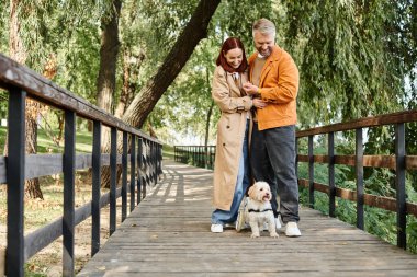 Yetişkin çift ve köpek parkta bir köprüde yan yana duruyorlar..