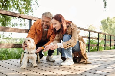 Yetişkin bir çift, günlük kıyafetleriyle parkta yürürken küçük bir köpek besliyor..