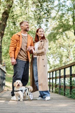 Adult couple walk dog on bridge in park. clipart