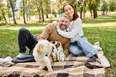 Bir adam ve bir kadın parkta köpekleriyle battaniyede oturuyorlar..
